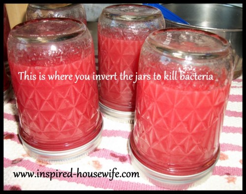 Inspired-Housewife: Low Sugar Plum Jam and Canned Plums