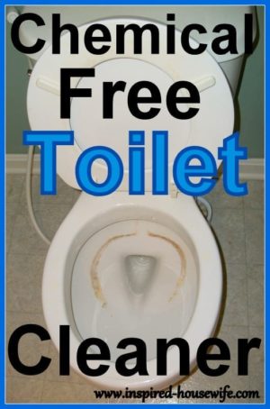 Toilet Cleaner