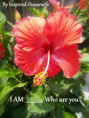 5 Minute Challenge: I AM _________?
