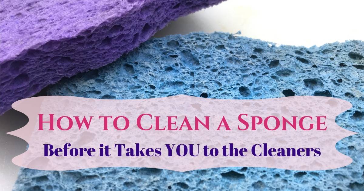 How to Clean a Sponge - Ultra Fresh